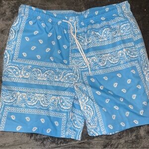 Baby Blue Paisley Men's Shorts